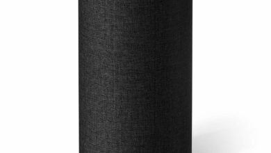 Photo of Best Alexa Easter Eggs – 340!
