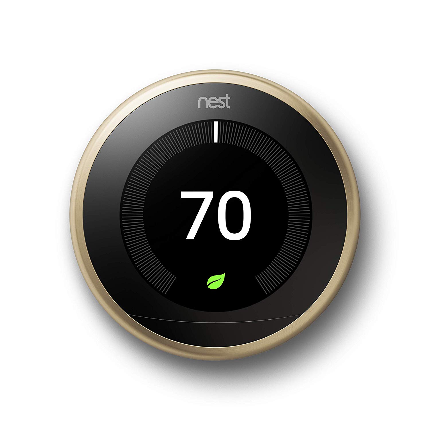 nest brass